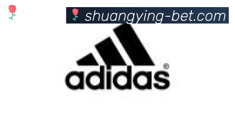 双赢彩票入口合作伙伴